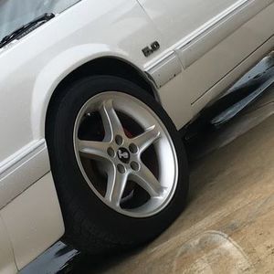 Meet your Posher, Bryce